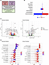 Transcriptomic differences and differentially regulated pathways between na