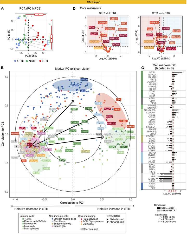Changes in markers for immune function, steady-state structures, and tis...