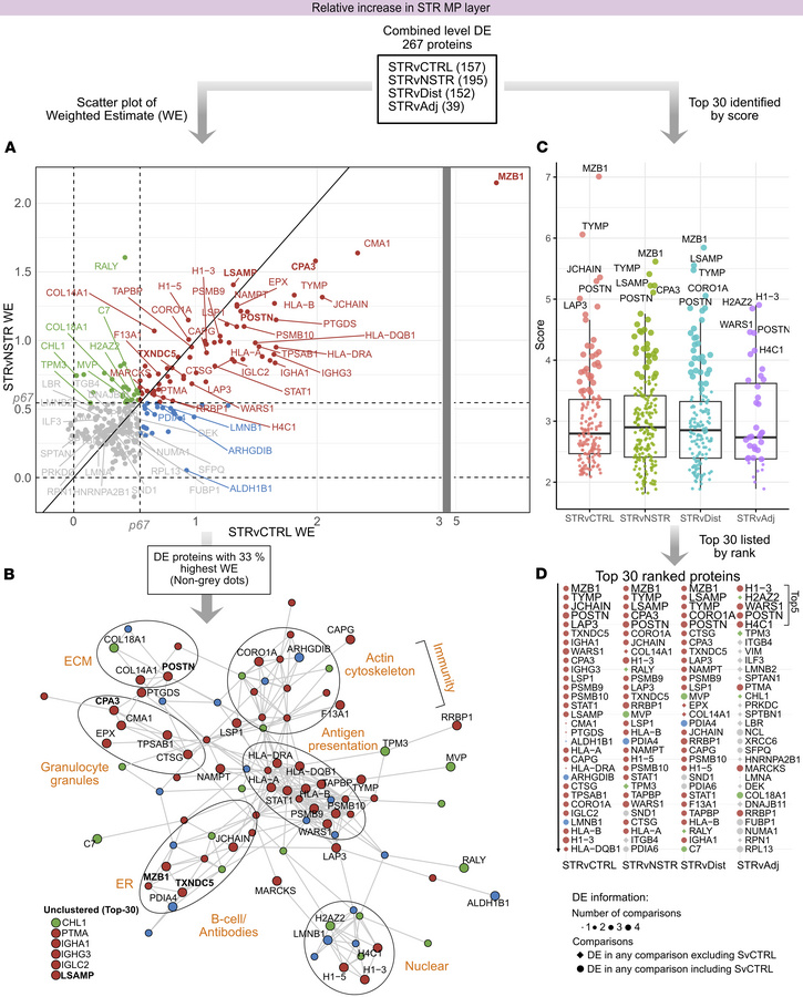Proteins associated with immune processes, ECM, and protein handling dis...