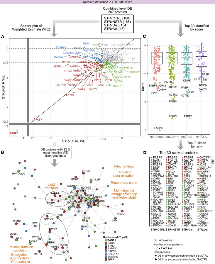 DE analysis reveals proteins associated with redox balance, lipid metabo...