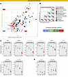 Proteins linked to functional and structural homeostasis display progressiv