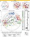 Changes in markers for immune function, steady-state structures, and tissue