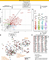 Differential protein expression in the SM reveals prominent increases in im