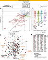 DE proteins associated with vascular structures and lipid metabolism show a