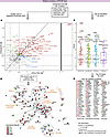Proteins associated with immune processes, ECM, and protein handling displa
