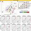 ER-, ECM-, and muscle-associated proteins are characterized by progressivel