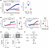 High CO2 elicits a triphasic Ca2+ response in ASM cells.
