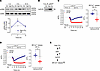 High CO2 activates ERK to promote SR Ca2+ depletion via InsP3R activation.