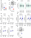 Interaction between hypercapnia and STIM1 variants influences airway obstru