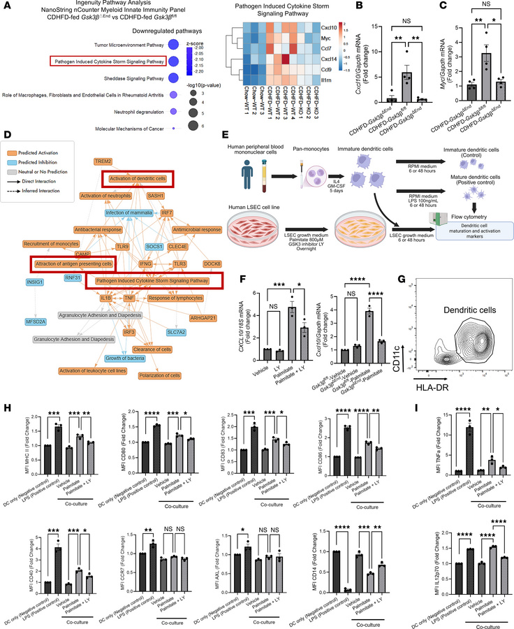 GSK3β inhibition alters cytokine and chemokine–related pathways in hLSEC...