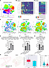 Intrahepatic leukocyte profiling by mass cytometry by time-of-flight (CyTOF