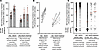 Matches by medical school and training background to residencies ranked by