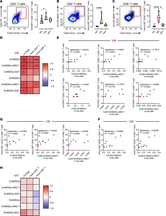 Expansion and persistence of highly immunosuppressive MDSCs in the dysre...