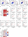 Expansion and persistence of highly immunosuppressive MDSCs in the dysregul