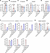 G-MDSCs decrease CD4+ T-cell activation and HIV reactivation.