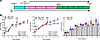 SBP and arterial stiffness in S-RbFox2KO mice.
