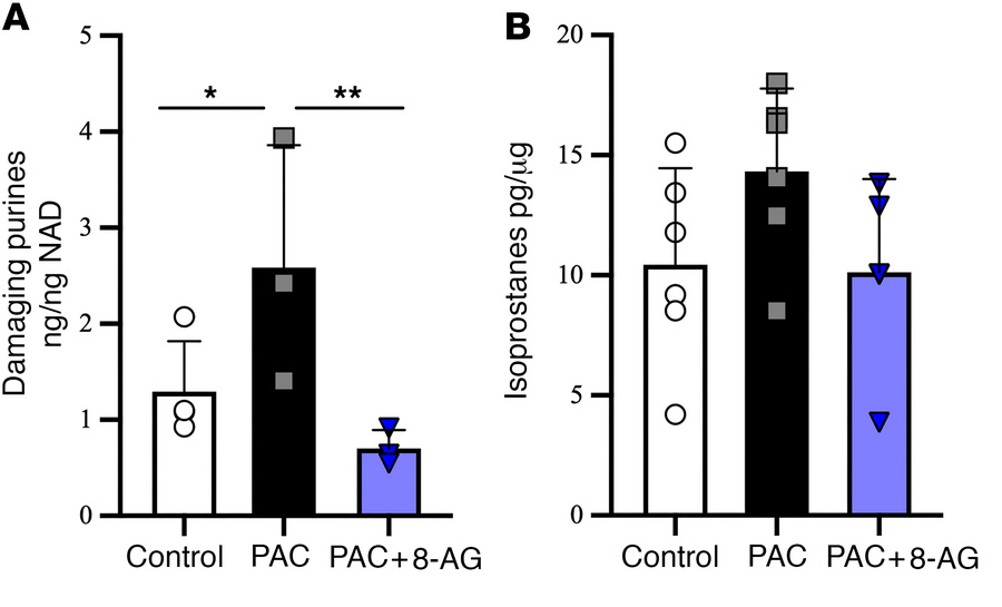 8-Aminoguanine attenuates PAC-related changes in proinflammatory purines...