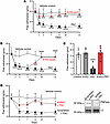 8-Aminoguanine attenuates PAC-related changes in mechanical sensitivity.