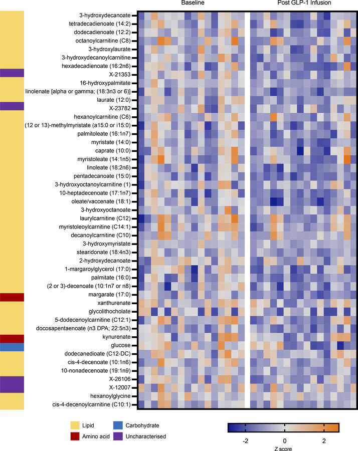 Heatmap demonstrating the change in levels of 47 metabolites before and ...