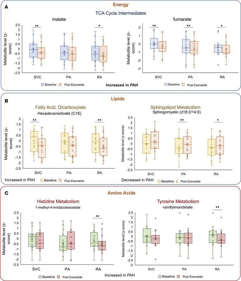 Change in metabolites with known prognostic importance in IPAH.
(A–C) Ex...