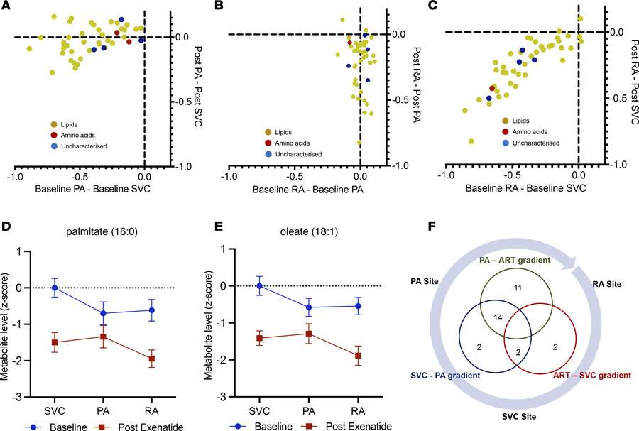 Change in metabolite gradients across sample sites before and after exen...