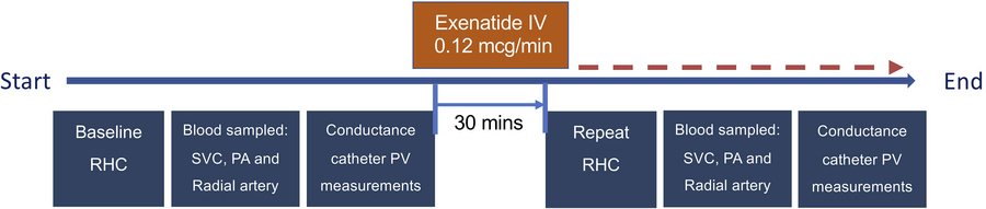Study flowchart demonstrating sequence of measurements made at right hea...