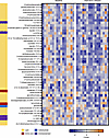 Heatmap demonstrating the change in levels of 47 metabolites before and aft