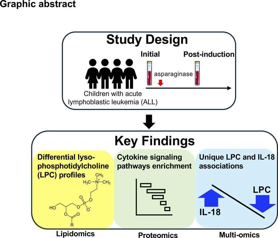 graphical abstract