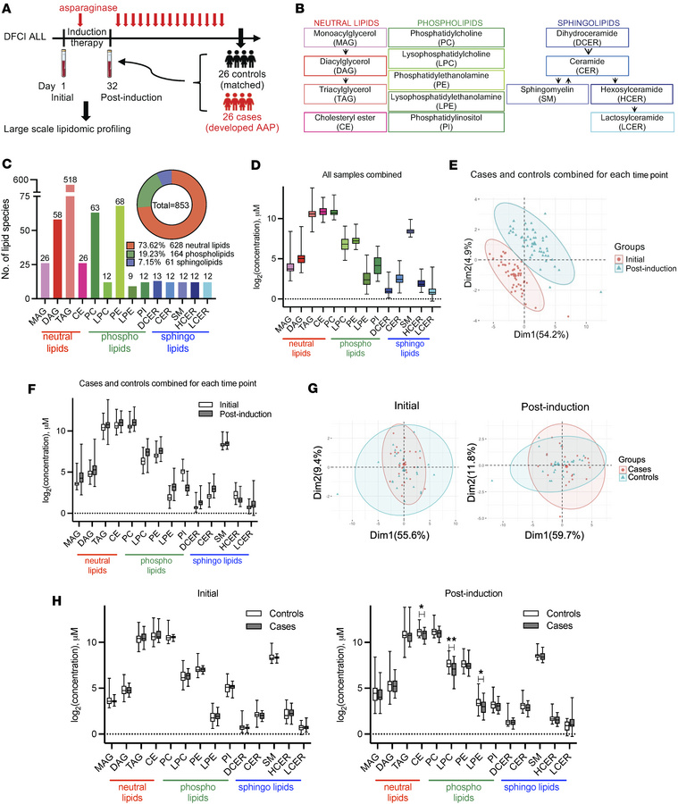 Global lipidomic landscape across induction therapy in the discovery coh...