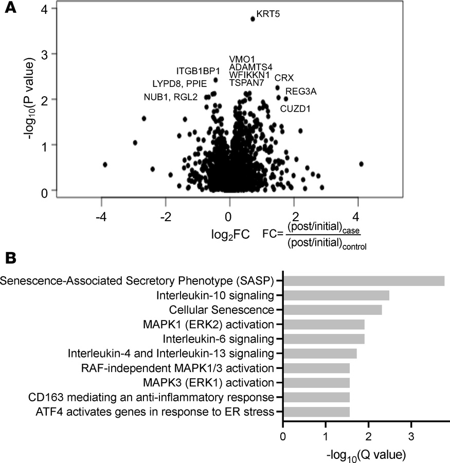 Proteomic profiling reveals cytokine pathway enrichment associated with ...
