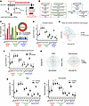 Global lipidomic landscape across induction therapy in the discovery cohort
