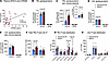 In individuals with MASLD and prediabetes, plasma sTREM2 is associated with