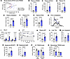Plasma sTREM2 and APOC3 are increased in a mouse model of prediabetes and h