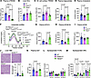 Macrophage full-length TREM2 lowers plasma TRLs by reducing APOC3 and APOB