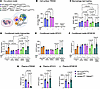 Lack of macrophage TREM2 interaction with hepatocytes drives triglyceride,