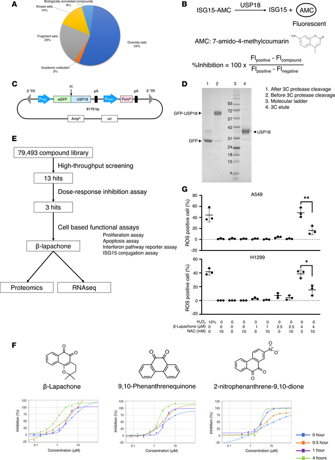 High-throughput screen identifies candidate USP18 small molecule inhibit...