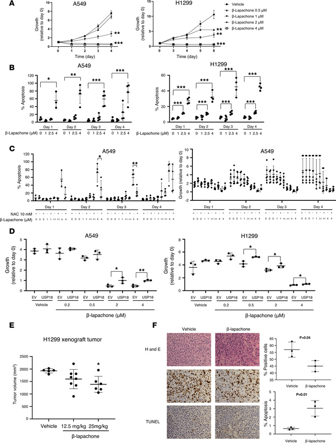 β-Lapachone reduces lung cancer cell proliferation and increases apoptos...