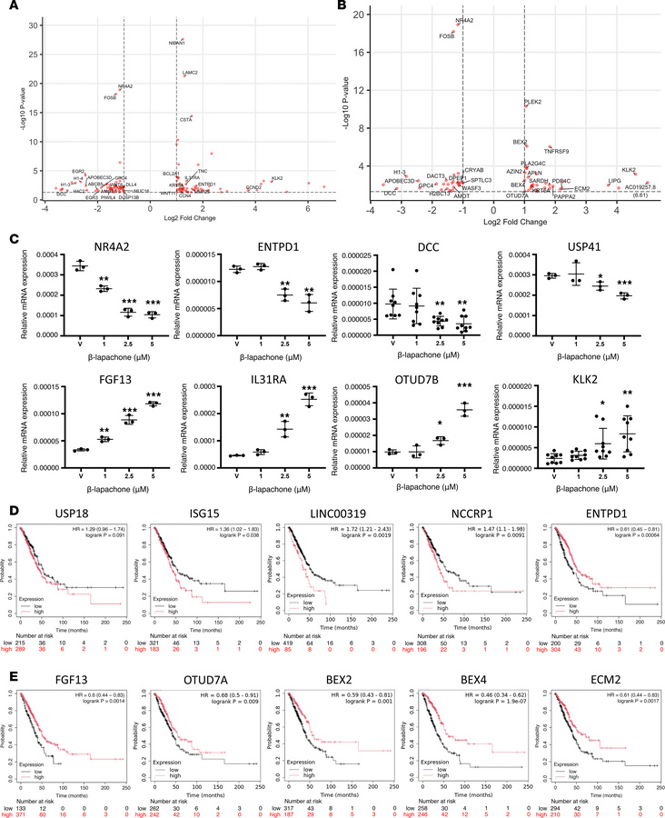 Transcriptomic profiling identifies USP18-dependent gene expression chan...