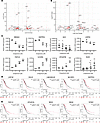 Transcriptomic profiling identifies USP18-dependent gene expression changes