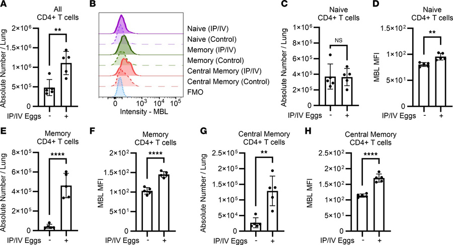 MBL expression by CD4+ T cells increases with Schistosoma exposure.
(A) ...