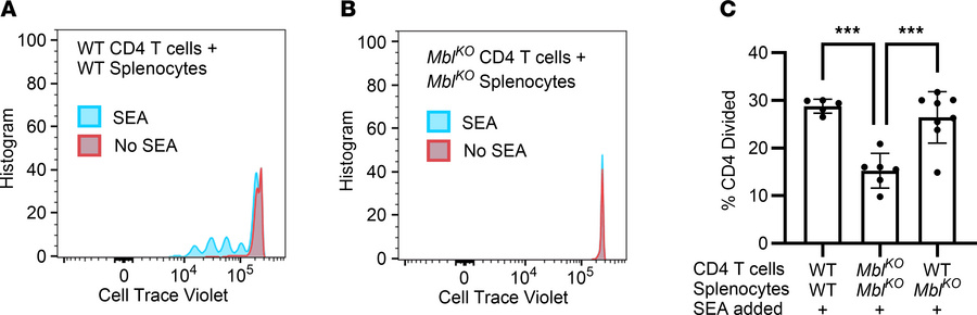 MBL expression by CD4+ T cells is required for a Th2 phenotype.
(A) Hist...