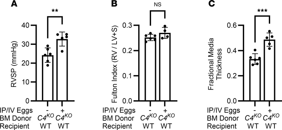 Bone marrow C4 deficiency, a downstream target of MBL, is not protective...