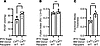 Bone marrow C4 deficiency, a downstream target of MBL, is not protective in
