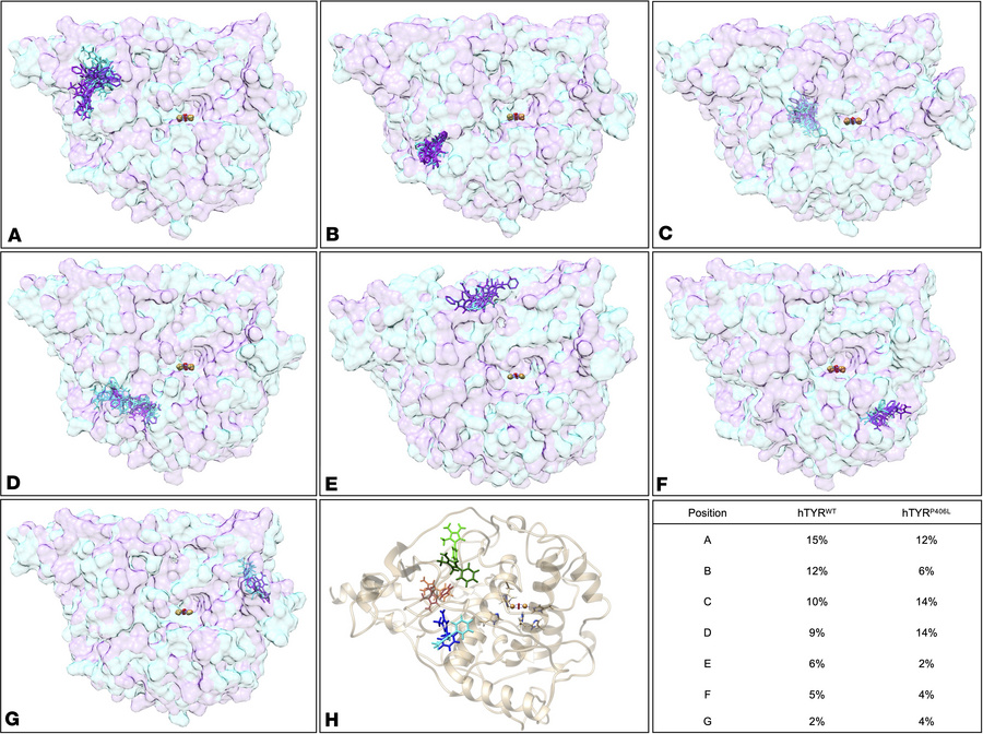 The most frequently occupied ampyrone binding positions outside the acti...