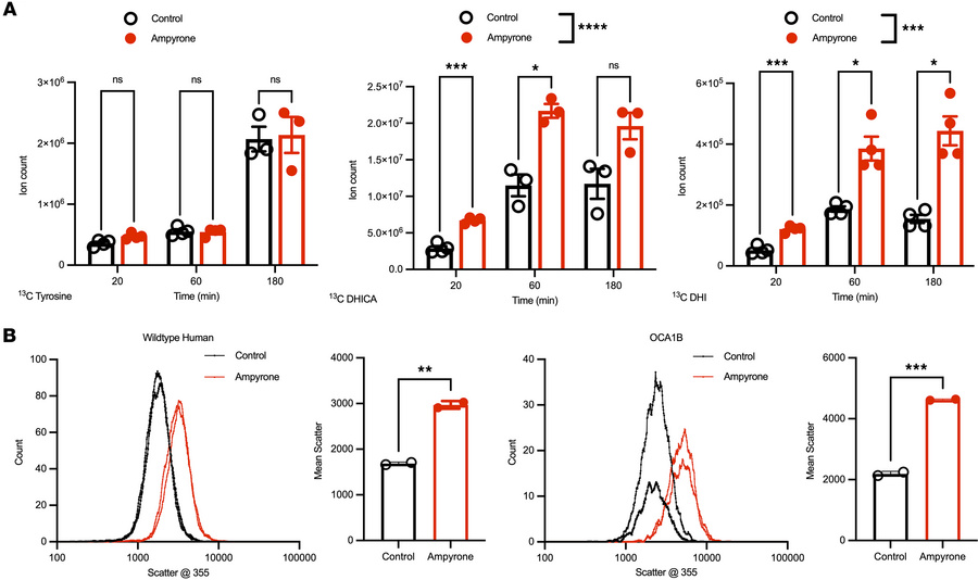 Ampyrone induces melanin synthesis in melanocytes.
(A) LC-MS tracing of ...