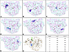 The most frequently occupied ampyrone binding positions outside the active