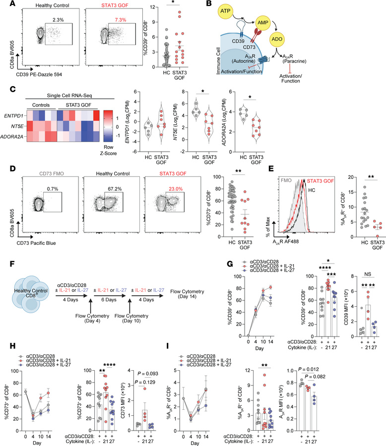 Dysregulation of purinergic pathway in patients with STAT3 GOF.
(A) Flow...