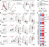 STAT3 GOF differentially affects effector function in a subset-specific man
