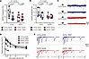 Impact of disrupted V-ATPase proton transport on synaptic transmission in 8