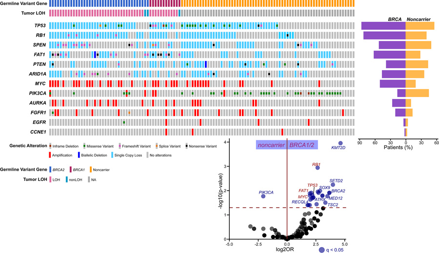Enrichment of somatic variants associated with resistance to CDK4/6 inhi...